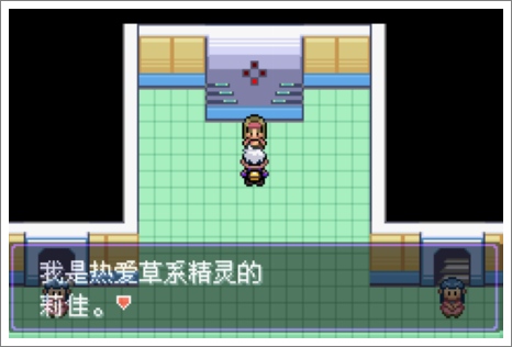 口袋妖怪漆黑的魅影