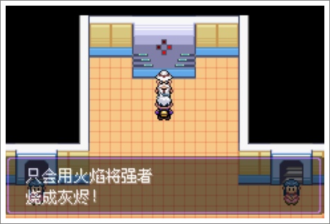 口袋妖怪漆黑的魅影