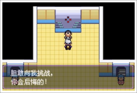 口袋妖怪漆黑的魅影