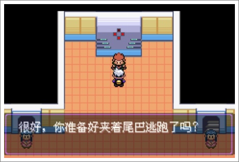 口袋妖怪漆黑的魅影