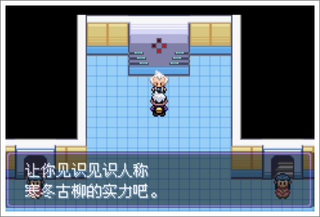 口袋妖怪漆黑的魅影
