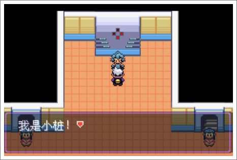 口袋妖怪漆黑的魅影