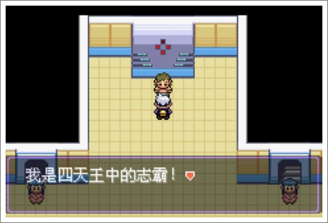 口袋妖怪漆黑的魅影