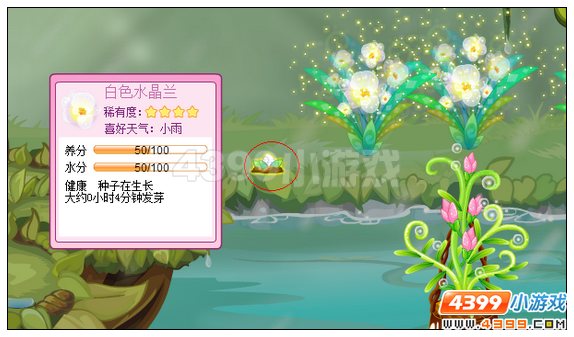 小花仙白色水晶晶诞生