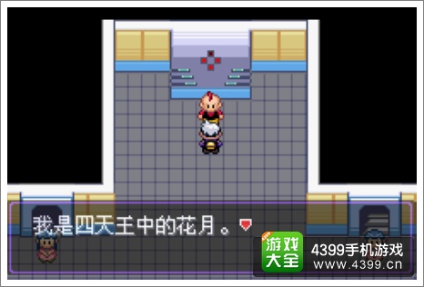 口袋妖怪漆黑的魅影