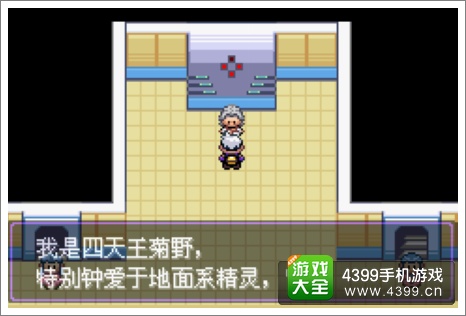 口袋妖怪漆黑的魅影