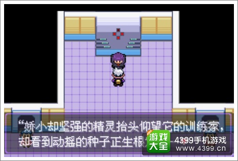 口袋妖怪漆黑的魅影