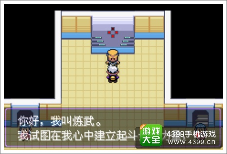 口袋妖怪漆黑的魅影