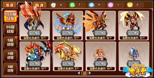 龙斗士神宠猎魂
