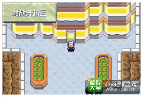 口袋妖怪漆黑的魅影