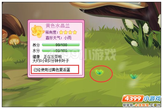 小花仙黄色水晶晶诞生