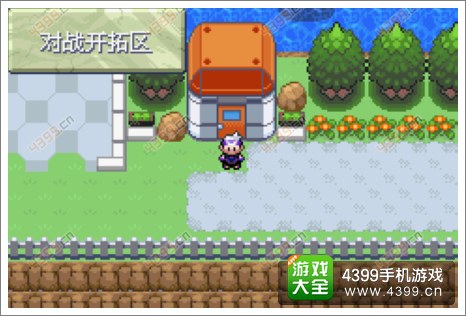 口袋妖怪漆黑的魅影