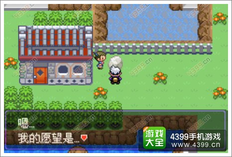 口袋妖怪漆黑的魅影