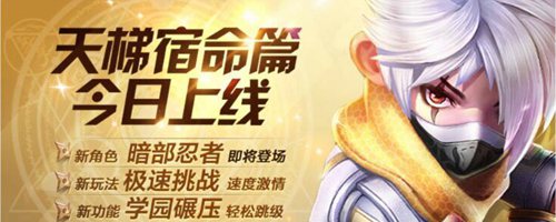 天天风之旅暗部忍者图鉴 暗部忍者属性
