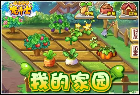 龙斗士我的家园
