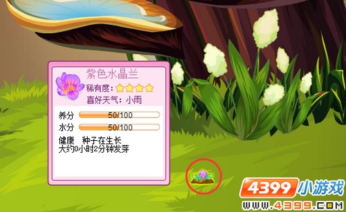 小花仙紫色水晶晶诞生