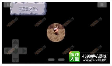 口袋妖怪漆黑的魅影