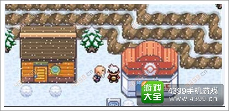 口袋妖怪漆黑的魅影