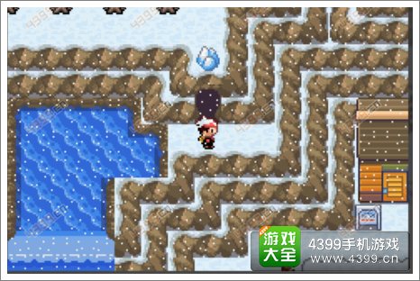口袋妖怪漆黑的魅影