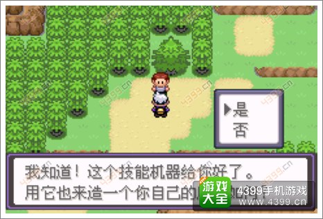 口袋妖怪漆黑的魅影