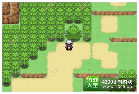 口袋妖怪漆黑的魅影