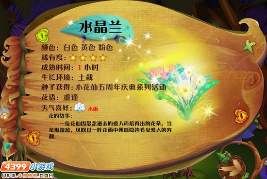 小花仙水晶兰 水晶兰花种