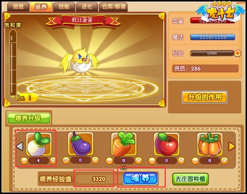 龙斗士飞行兽怎么升级