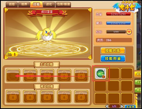 龙斗士飞行兽技能怎么得 怎么学习