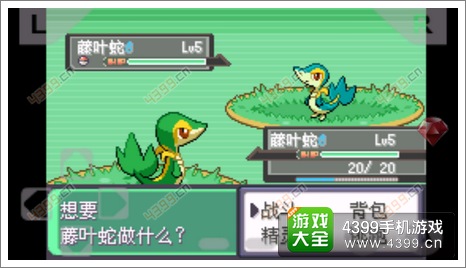 口袋妖怪漆黑的魅影遇敌闪光金手指