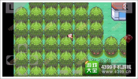 口袋妖怪漆黑的魅影穿墙金手指