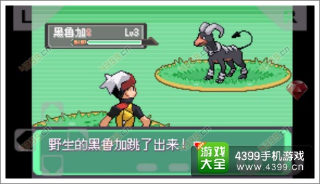 口袋妖怪漆黑的魅影遇怪金手指