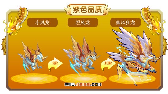 龙斗士小风龙-烈风龙-御风狂龙进化图鉴 属性