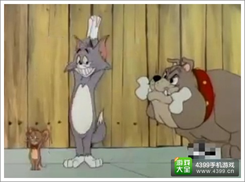 猫和老鼠