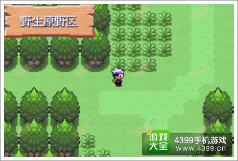口袋妖怪漆黑的迷影壶壶
