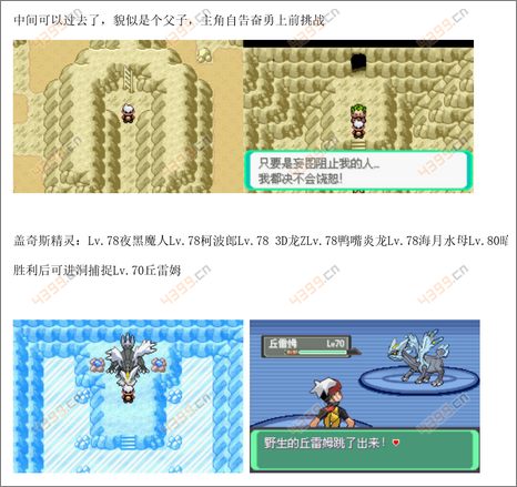 口袋妖怪漆黑的魅影酋雷姆