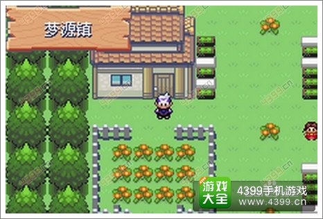 口袋妖怪漆黑的魅影雷希拉姆