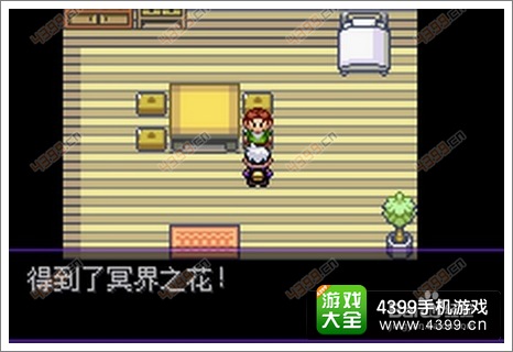 口袋妖怪漆黑的魅影雷希拉姆