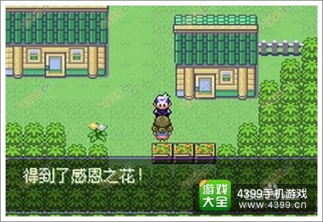 口袋妖怪漆黑的魅影雷希拉姆