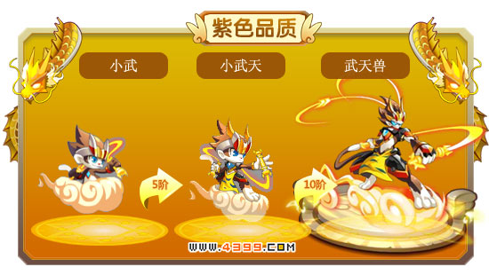 龙斗士小武-小武天-武天兽进化图鉴 属性