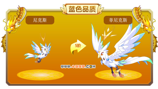 龙斗士尼克斯-菲尼克斯进化图鉴 属性