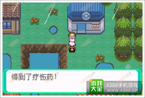 口袋妖怪漆黑的魅影隐藏物品