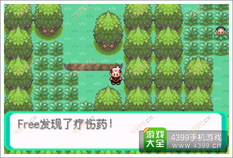 口袋妖怪漆黑的魅影隐藏物品