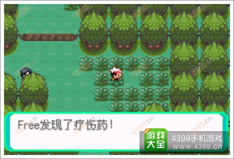 口袋妖怪漆黑的魅影隐藏物品