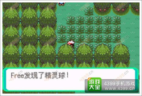 口袋妖怪漆黑的魅影隐藏物品