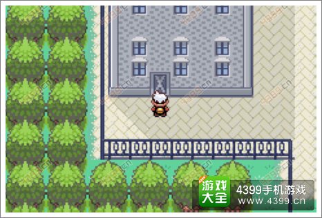 口袋妖怪漆黑的魅影隐藏物品