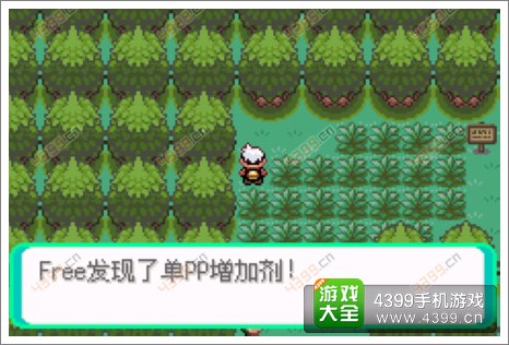 口袋妖怪漆黑的魅影隐藏物品