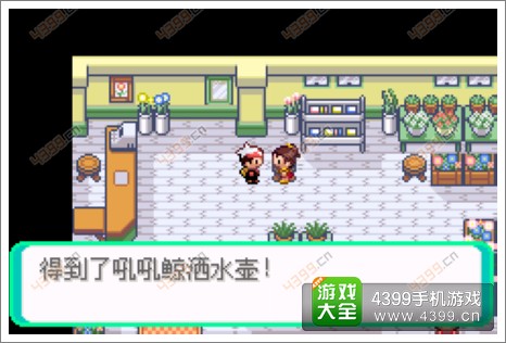 口袋妖怪漆黑的魅影隐藏物品