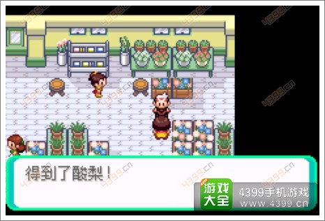 口袋妖怪漆黑的魅影隐藏物品