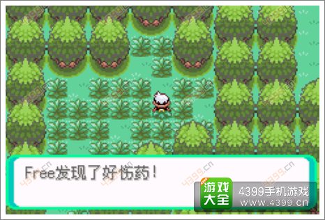 口袋妖怪漆黑的魅影隐藏物品