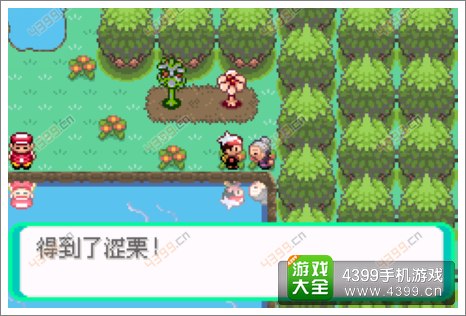 口袋妖怪漆黑的魅影隐藏物品